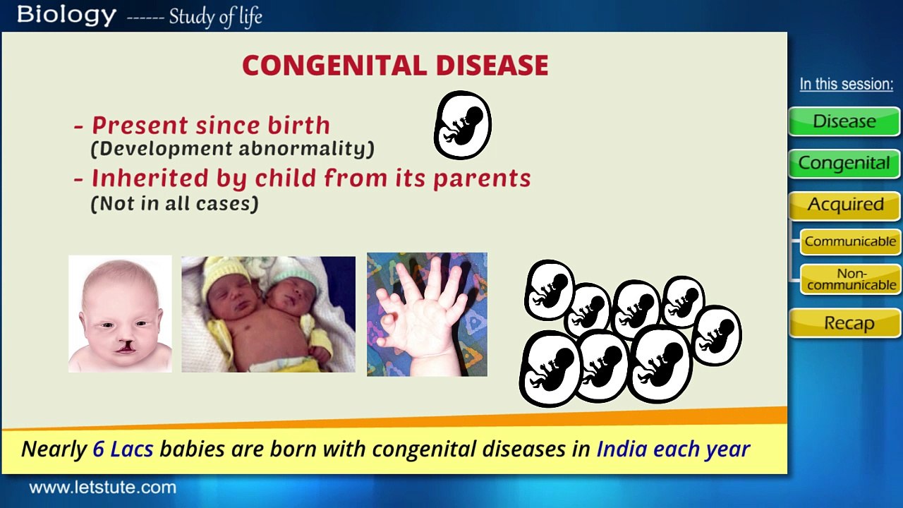 Human Health & Disease | Biology | Science | LetsTute