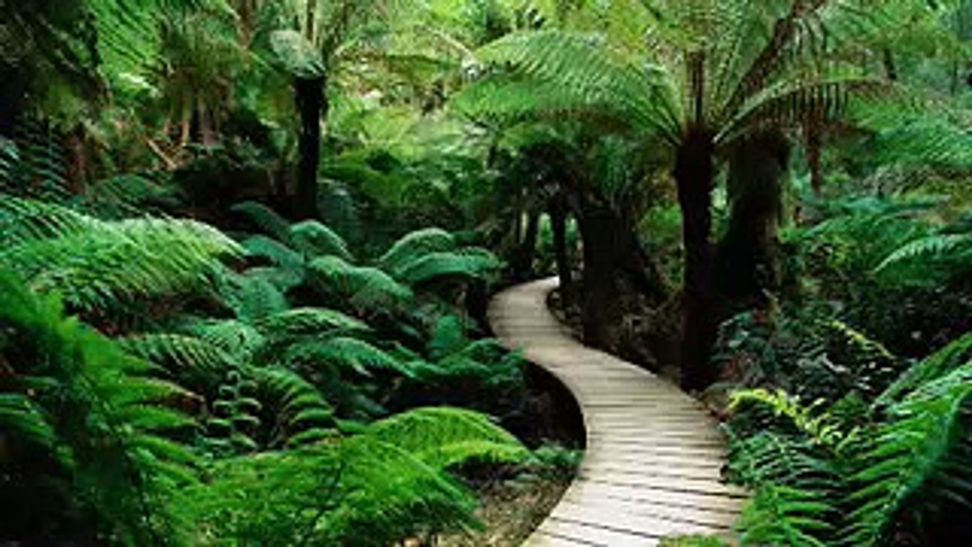 Relaxing Beautiful Romantic Music: Piano Music, Violin Music, Cello Music, Guitar Music ★7