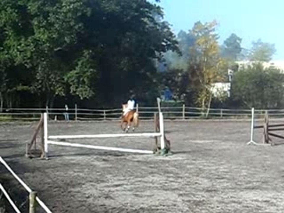Photo 2379