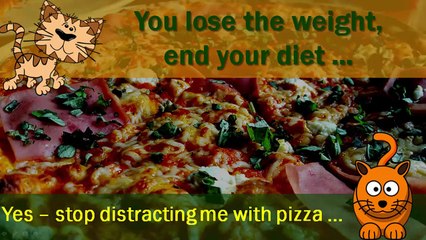 Set Point Weight | What's Wrong With Your Body