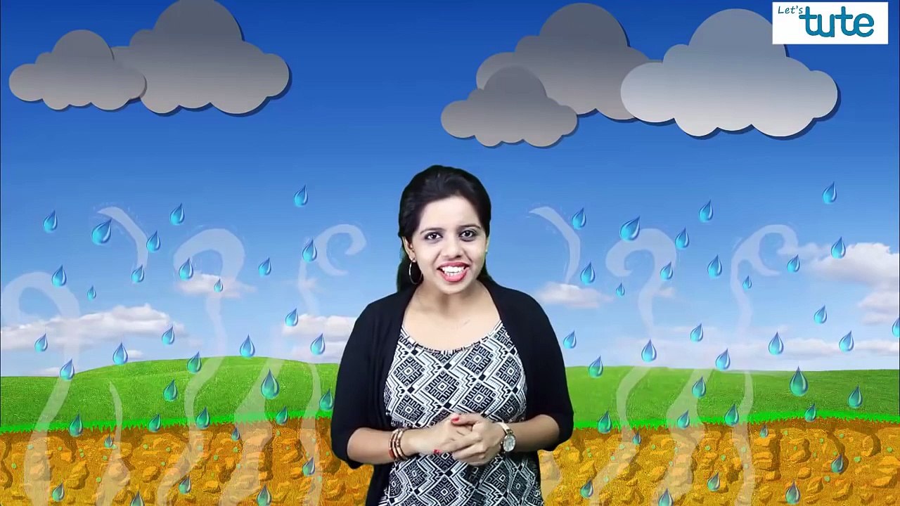 Why Does RAIN SMELL? | Interesting Science Facts | LetsTute