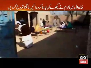 جہالت کی انتہا۔۔۔۔۔کچھوا پیر۔۔۔۔۔۔۔۔۔۔
