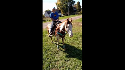 CS Performance Horses - (715) 307-8201