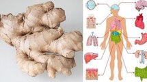 Health Benefits of Ginger - What is ginger good for?