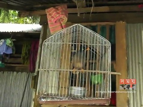 জমি বিক্রি করে বঙ্গবন্ধুর ভাস্কর্য তৈরি