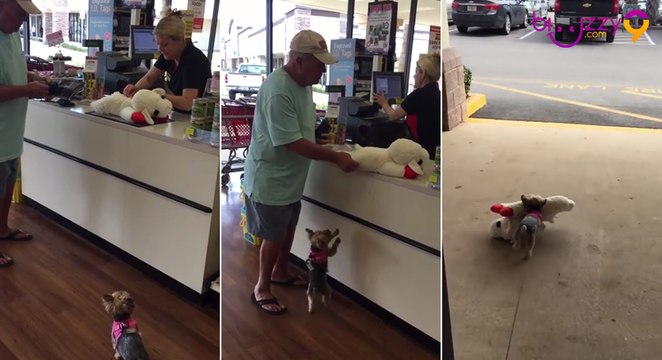 Ce chien est fou de son nouveau jouet!