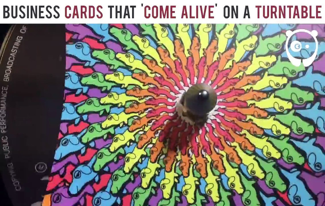 Avec des cartes de visite et une platine vinyle, ce designer crée des images vivantes étonnantes