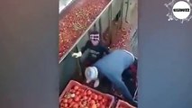 Voici comment fonctionnent réellement les usines de ketchup HEINZ