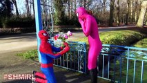 SPIDERGIRL Wedding Dress Pink Spidergirl with Spiderman Frozen Elsa Spiderbaby Superheroes