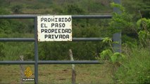 Mexico's largest clandestine graves discovered