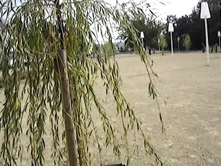 OISSEL : BALLADE (GRATUITE :) SUR LES QUAIS