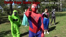 Superheroes finger family rhymes. Collection of finger family Spiderman Frozen Hulk Gorill