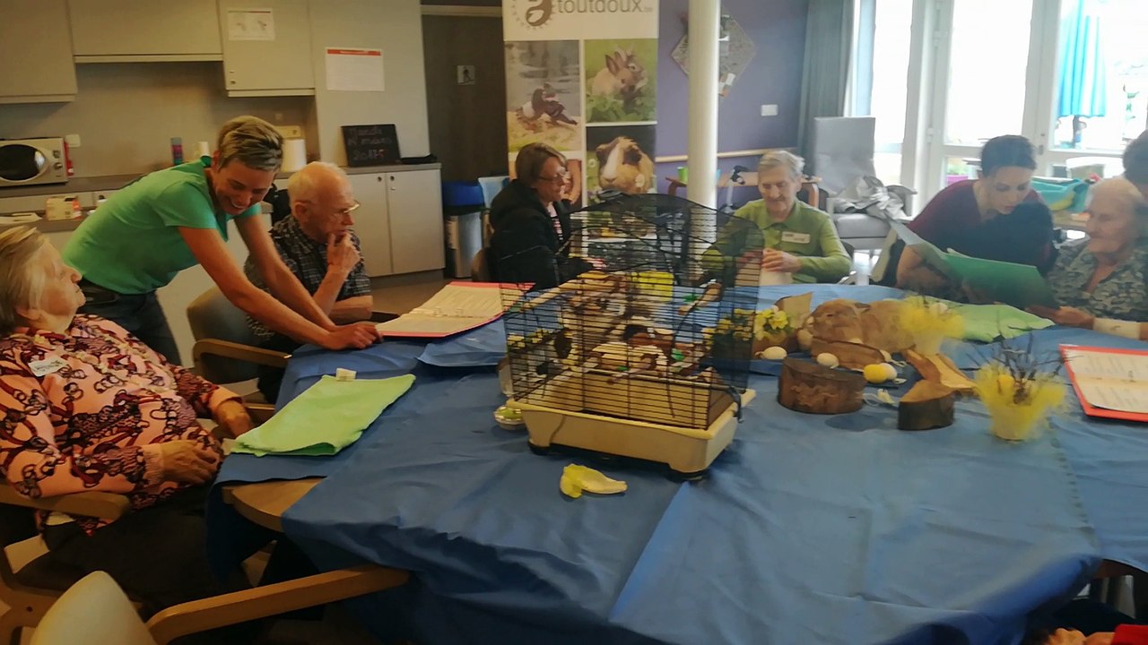 Séance de médiation animale à l'Institut Saint-Joseph de Comines