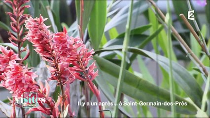 Le Jardin du Luxembourg