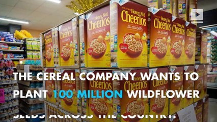 Cheerios wants you to help to save the bees!