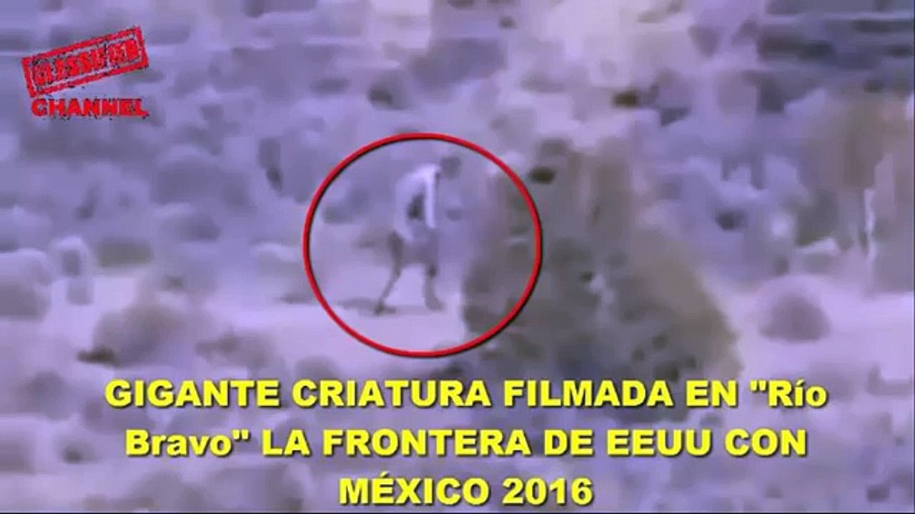 A MAN FILMS A STRANGE ALIENS 2017