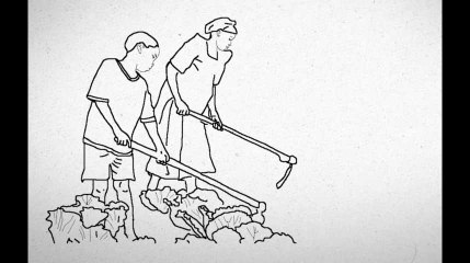 Quelle est cette chenille qui ravage l'agriculture africaine?