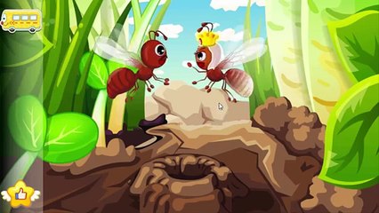 Learn The Life Cycle Of Ant | Baby Panda Explore Ant Colonies | Kids Educational Learning