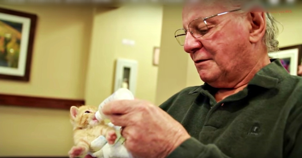 Nursing Home Residents Help Care For Kittens