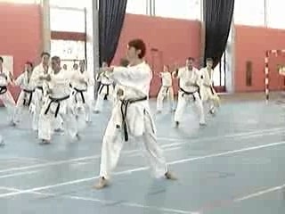 Karate Stage multistyle Pont à Mousson 07