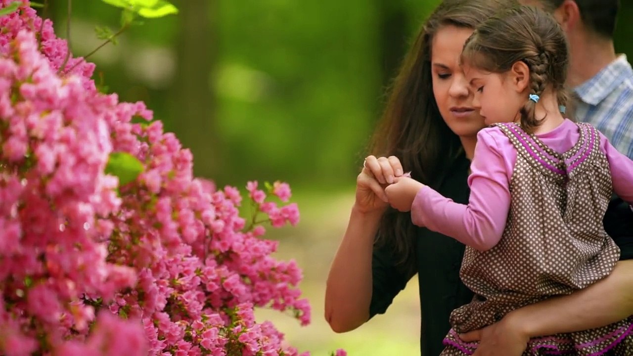 Early Learning Academy video Dailymotion