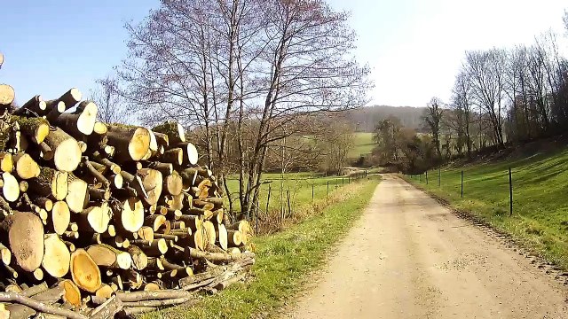 Dans nos Ardennes 2 - Les bois de Néparcy