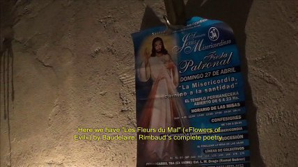 Edgar Brau recita a un gato de la calle poemas de Baudelaire y de Nerval (English subtitles)