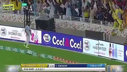 Peshawar zalmi qualify for the final Peshawar zalmi vs Karachi king match highlights