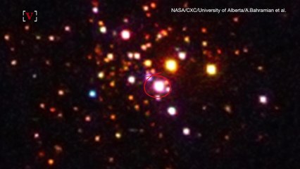 The Incredible Images of a Star Orbiting a Black Hole