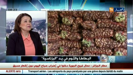 مستشارة وزير الفلاحة  قمنا بتشكيل لجنة مع وزارة التجارة للتكفل بتفتيش غرف التبريد - YouTube