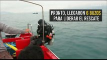 ¡Hacia la libertad! El rescate de un cachalote que quedó atrapado en redes de pesca en China