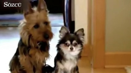 Çok konuşulacak yeni hayır türküsü