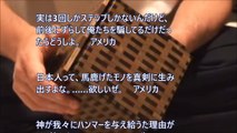 【海外の反応】「日本人は頭が良い 頭が良すぎる！」日本の超難解寄木細工に外国人理解不能でビックリ仰天
