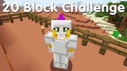 Minecraft PS4 - 20 Block Challenge - A House With A View (13)