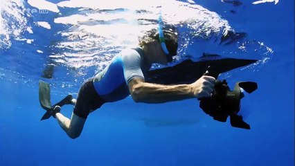 L’énigme De La Migration Verticale Sous-Marine