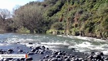 New Zealand River Granted Same Rights As Humans