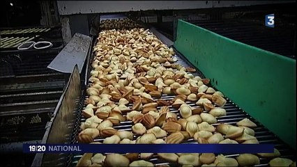 Biscuiterie Jeannette : les secrets d'une renaissance économique