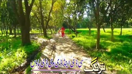 Pashto HD film KHANADANI JAWARGAR song Mini Di Bacha Pa Malangy