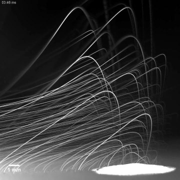 Goutte de pluie et bactéries