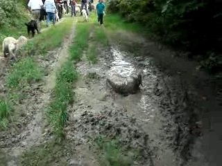 Promenade avec le RCF le 23 septembre 2007