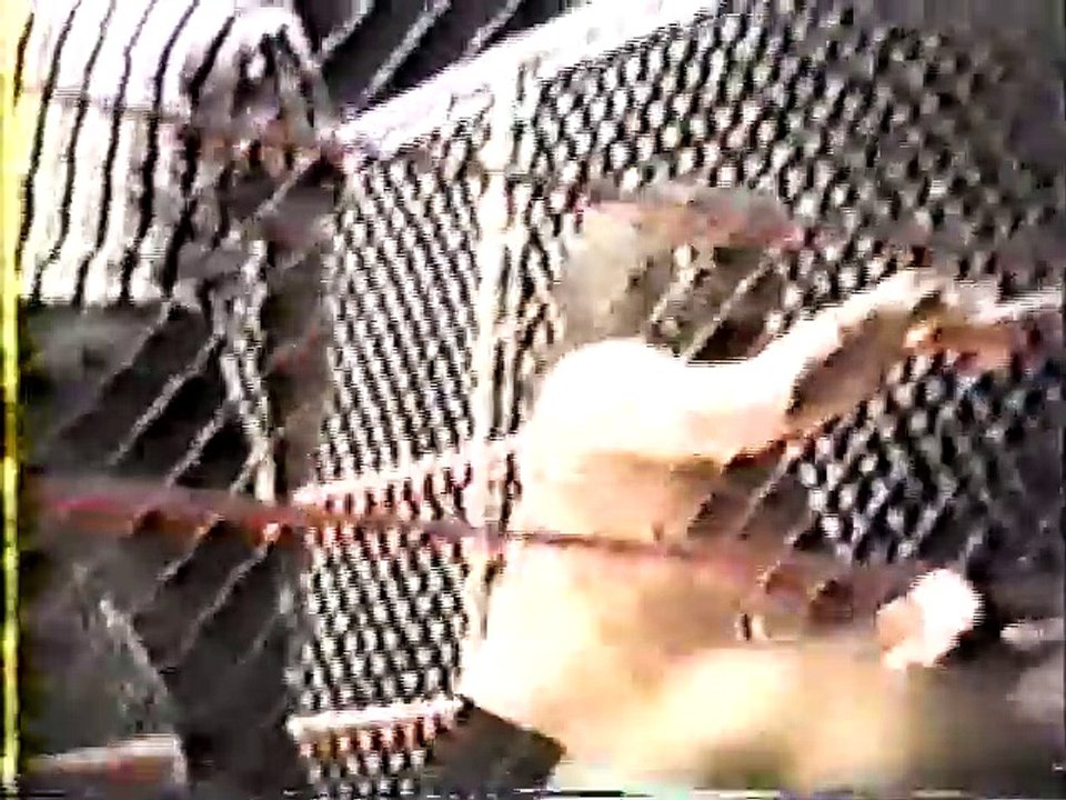 Luger vs Bruiser Brody Cage Match Shoot
