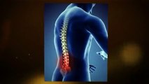 chiropractors in brick nj