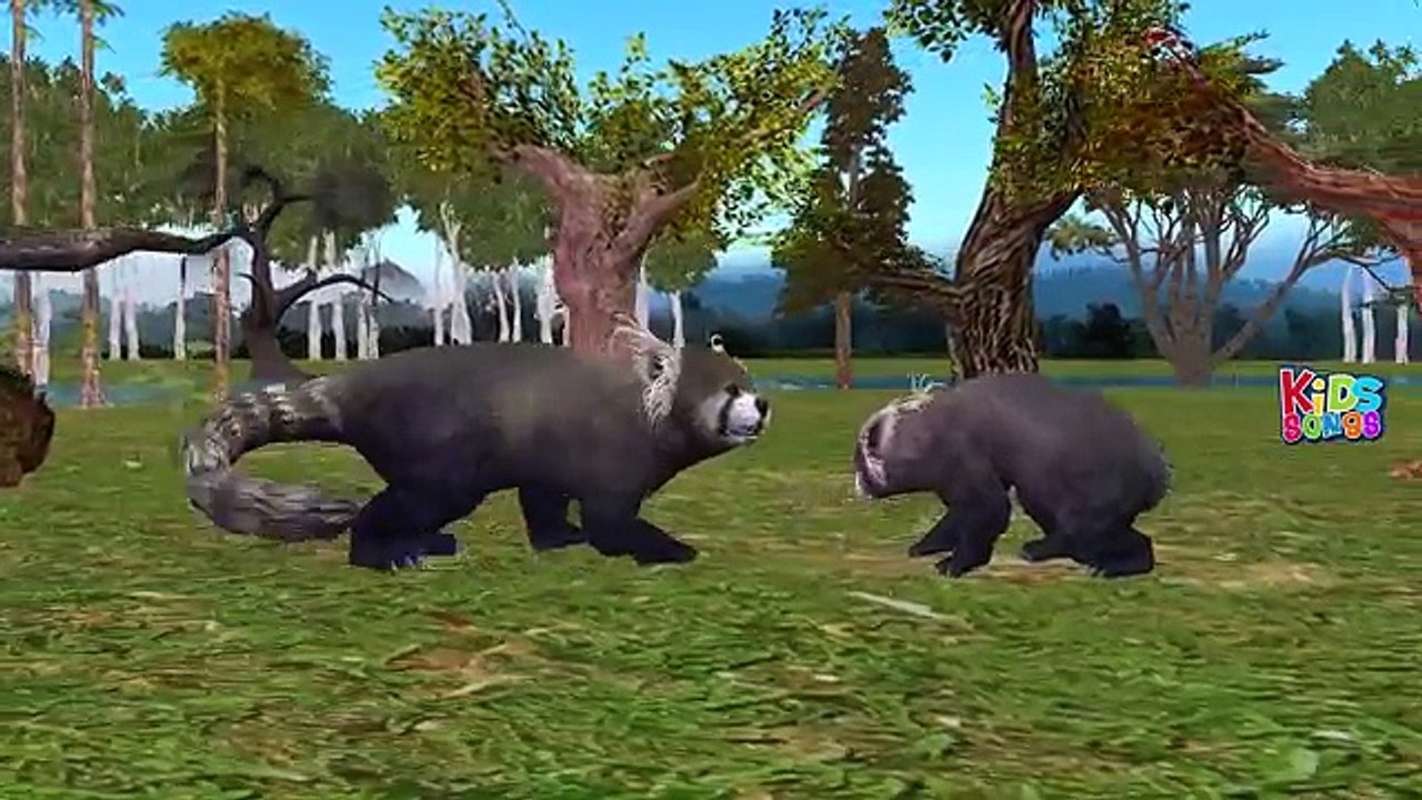 Finger Family Animals Cartoon Collection Learn Animals For Babies Nursery Rhymes Children