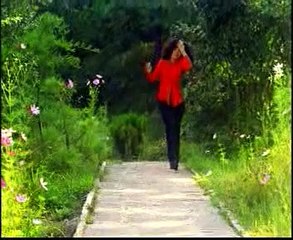 34.Mujhe tumse pyar hai...(I love you) by Sajjad Ali