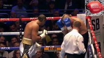 Boxing Knocked Out Cold 2016-59LtXgQoNW