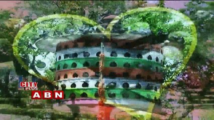 Special Story On Pigeons