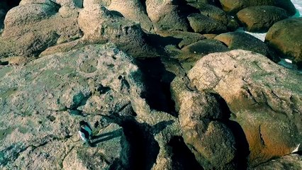 Güler Duman - Sazım