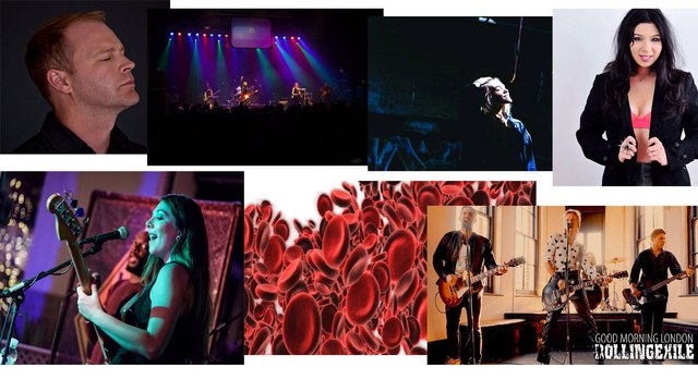 Cut N' Dry Talent TV (Episode #4.3 Indie Music Videos)