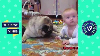 TRY NOT TO LAUGH or GRIN Funny Kids Fails Comp