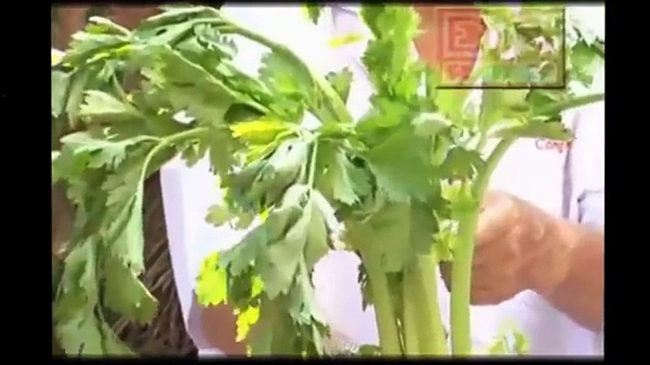 Livsin94.vn | Công dụng của Cần Tây- Thanh lọc cơ thể, làm mát gan